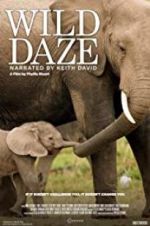 Watch Wild Daze Myflixer
