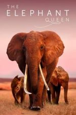 Watch The Elephant Queen Myflixer