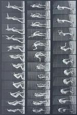 Watch Woman Throwing Baseball Myflixer