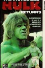 Watch The Incredible Hulk Returns Myflixer