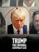 Watch Trump: The Criminal Conspiracy Case Myflixer