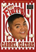 Watch Gabriel Iglesias: Hot and Fluffy Myflixer