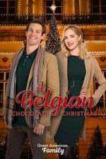 Watch A Belgian Chocolate Christmas Myflixer
