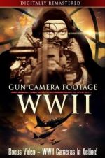 Watch Gun Camera Footage WWII Myflixer
