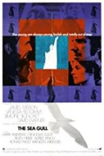 Watch The Sea Gull Myflixer