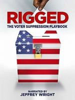 Watch Rigged: The Voter Suppression Playbook Myflixer