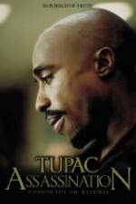 Watch Assassination: Conspiracy or Revenge Myflixer