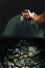 Watch The Hedge Theater Myflixer