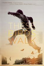 Watch These Birds Walk Myflixer