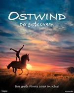 Watch Windstorm: The Great Hurricane Myflixer