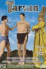Watch Tarzan and the Leopard Woman Myflixer