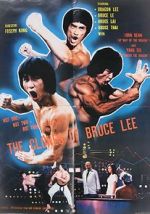 Watch The Clones of Bruce Lee Myflixer