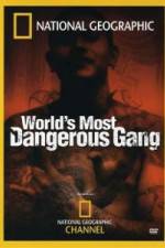 Watch National Geographic World's Most Dangerous Gang Myflixer