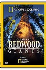 Watch National Geographic Explorer: Climbing Redwood Giants Myflixer