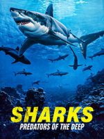 Watch Sharks: Predators of the Deep Myflixer