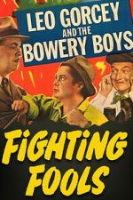 Watch Fighting Fools Myflixer