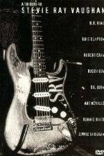 Watch A Tribute to Stevie Ray Vaughan Myflixer
