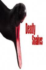 Watch National Geographic Wild Deadly Snakes Myflixer