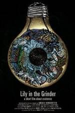 Watch Lily in the Grinder Myflixer