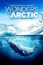 Watch Wonders of the Arctic 3D Myflixer