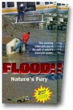 Watch Flood Myflixer