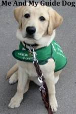 Watch Me And My Guide Dog Myflixer