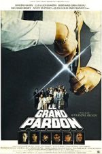 Watch The Big Pardon Myflixer