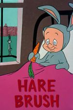 Watch Hare Brush (Short 1955) Myflixer