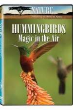 Watch Hummingbirds Magic in the Air Myflixer