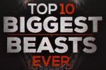 Watch Top 10 Biggest Beasts Ever Myflixer