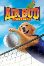 Watch Air Bud: Spikes Back Myflixer