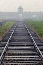 Watch AUSCHWITZ: FACTORIES OF DEATH Myflixer