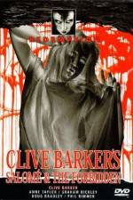Watch The Forbidden Myflixer