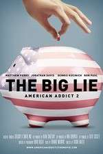 Watch American Addict 2 The Big Lie Myflixer