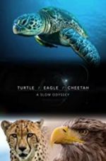 Watch Turtle, Eagle, Cheetah: A Slow Odyssey Myflixer