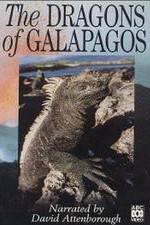 Watch The Dragons of Galapagos Myflixer