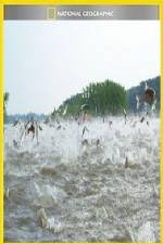 Watch National Geographic Hooked Carp Invasion Myflixer
