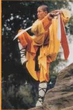 Watch National Geographic Kung Fu Secrets Myflixer
