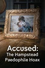 Watch Accused: The Hampstead Paedophile Hoax Myflixer