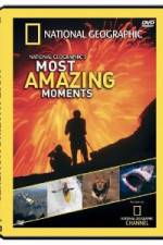 Watch National Geographic's Most Amazing Moments Myflixer