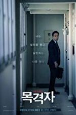 Watch The Witness Myflixer