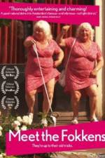 Watch Meet the Fokkens Myflixer