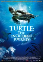 Watch Turtle: The Incredible Journey Myflixer