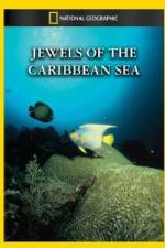 Watch National Geographic Jewels of the Caribbean Sea Myflixer
