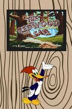 Watch The Redwood Sap (Short 1951) Myflixer