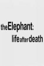 Watch The Elephant - Life After Death Myflixer