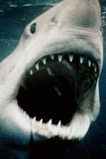 Watch Sharkmania: The Top 15 Biggest Baddest Bloodiest Bites Myflixer