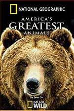 Watch America's Greatest Animals Myflixer