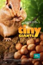 Watch Tiny Giants 3D Myflixer