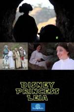 Watch Disney Princess Leia Part of Hans World Myflixer